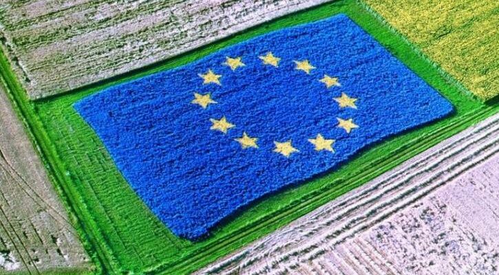 Άρθρο Θ. Τζάκρη: “Στρατηγικό σχέδιο για την ΚΑΠ: Ο έγκαιρος και ορθός σχεδιασμός του θα στηρίξει τη βιωσιμότητα και ανταγωνιστικότητα της ελληνικής γεωργίας”